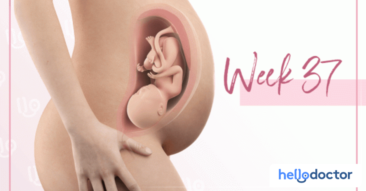 Week 37 of Pregnancy Baby Development: All You Need to Know