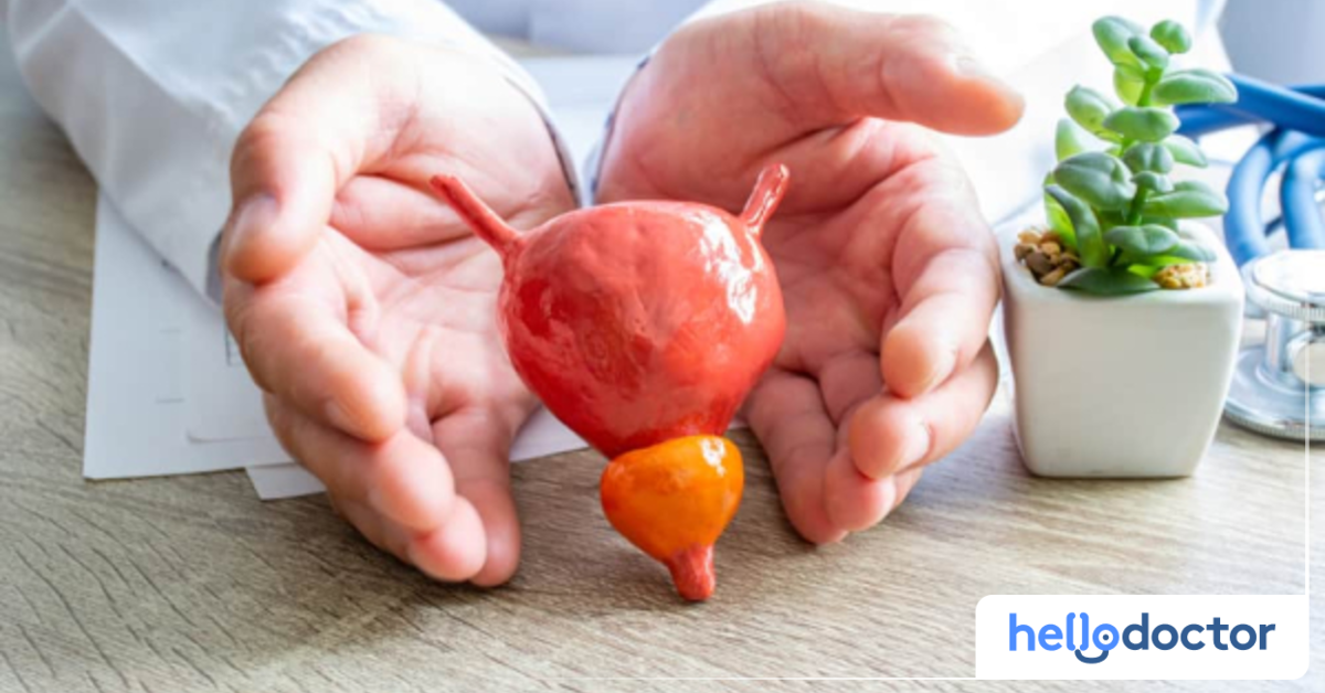 How To Keep The Prostate Gland Healthy What Men Need to Know